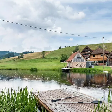 Haus Am Backhaeusle Hornberg