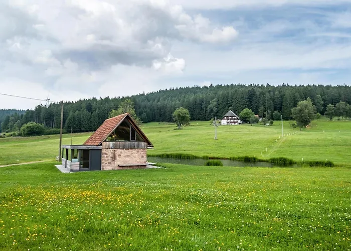 Haus Am Backhaeusle * Hornberg